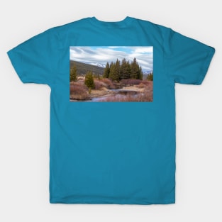 Autumn in Yellowstone National Park Mountains T-Shirt